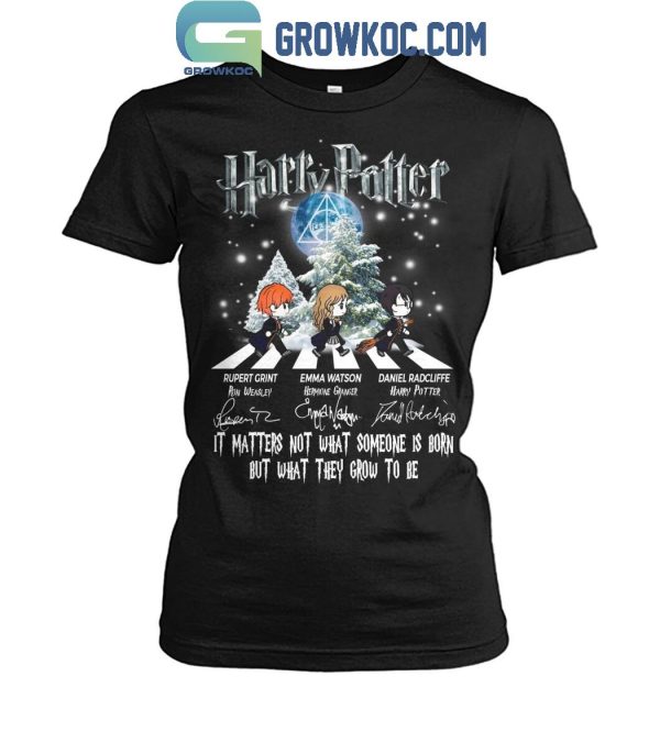 Harry Potter It’s Matters Not What Someone Is Born 2024 T-Shirt