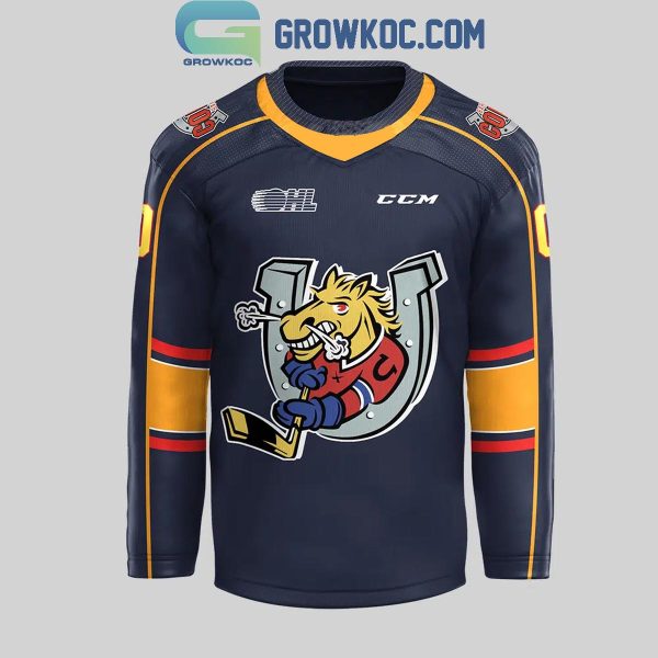 Barrie Colts Charlie Horse 2024 Personalized Hockey Jersey